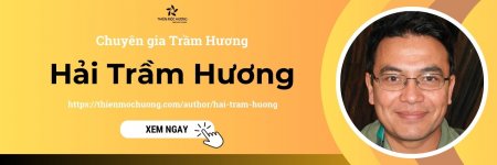 haitramhuongbanner.jpg